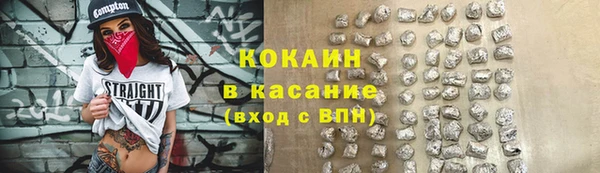 прущие грибы Медногорск