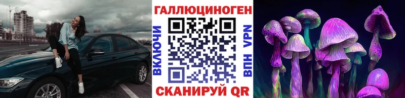 Купить  Кущёвская  Псилоцибиновые грибы прущие грибы 